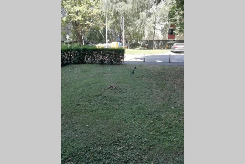 Šarmantni apartman Malecka Zagreb Bagian luar foto