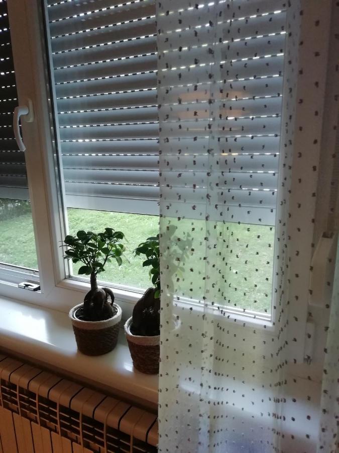 Šarmantni apartman Malecka Zagreb Bagian luar foto