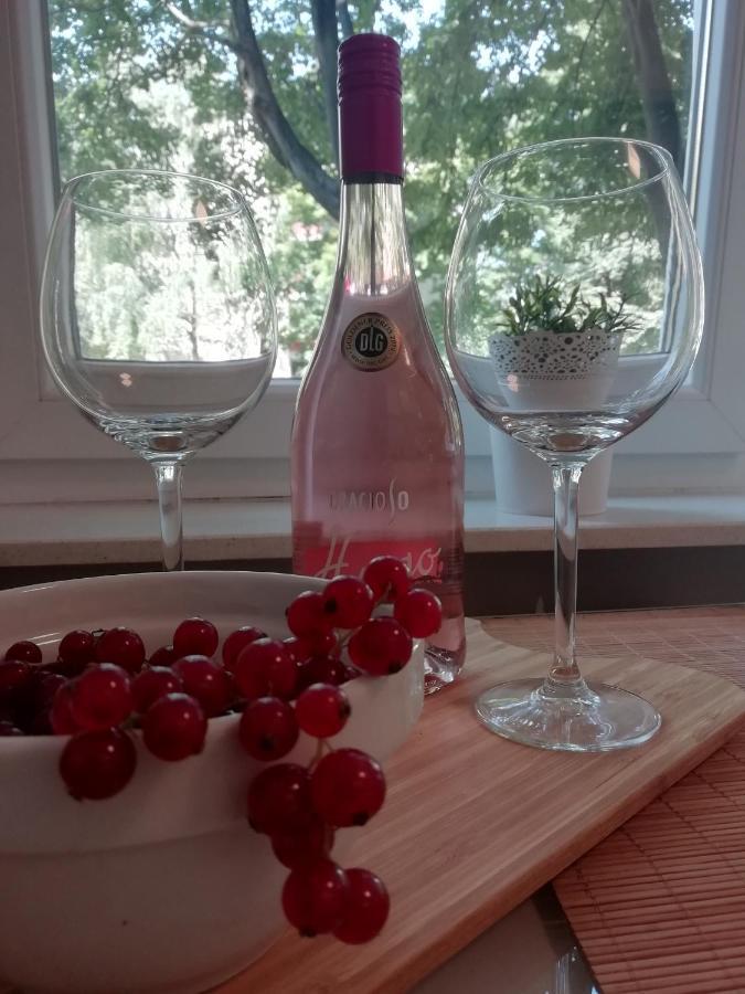 Šarmantni apartman Malecka Zagreb Bagian luar foto