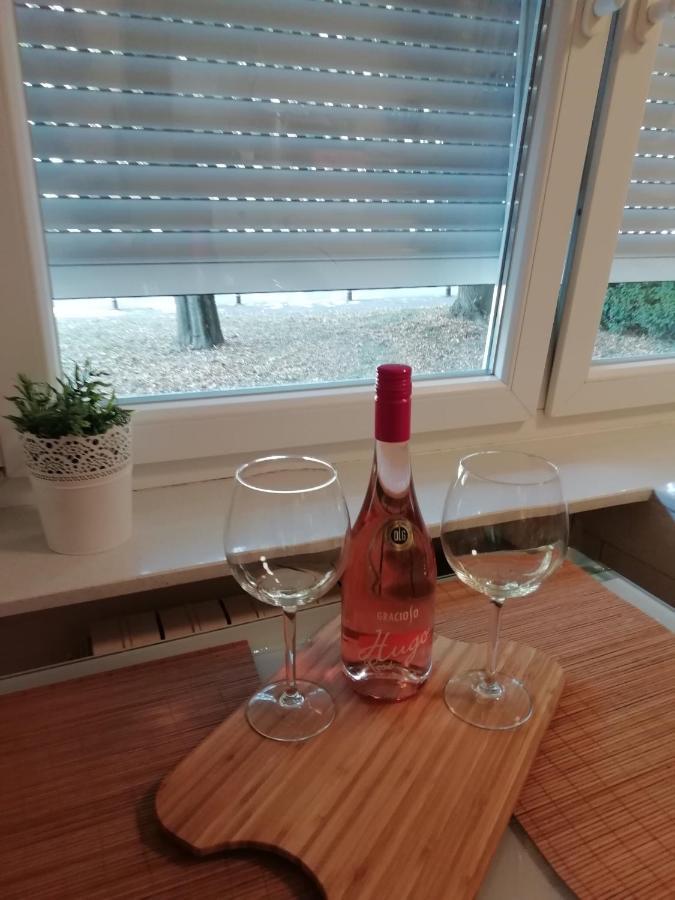 Šarmantni apartman Malecka Zagreb Bagian luar foto
